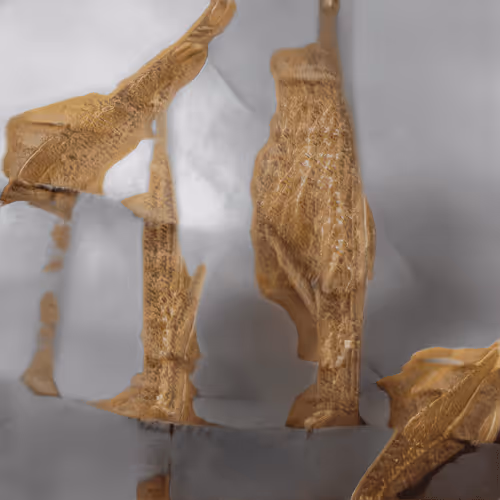 Item #72191770546992921943267033160474518012437629238460681668476305497554228871169 Media