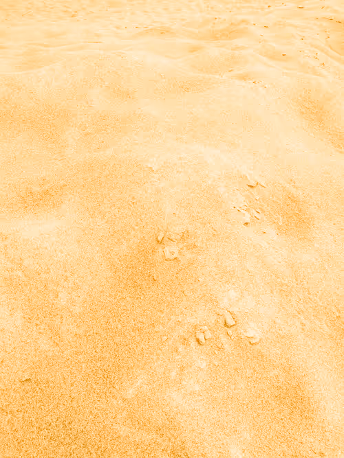 Item #98843954857266856101330559780238873570552098425130206222908041875817798565889 Media