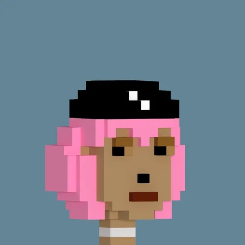 3DVoxelPunk 4880
