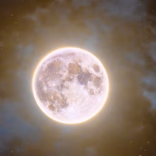 CryptoCold Collection