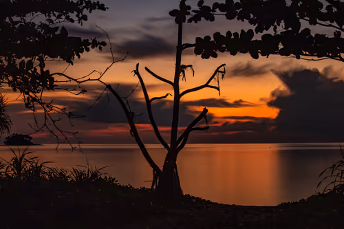 Item #105679162715773690367894814568251153202929894369313826483118647826798323171329 Media