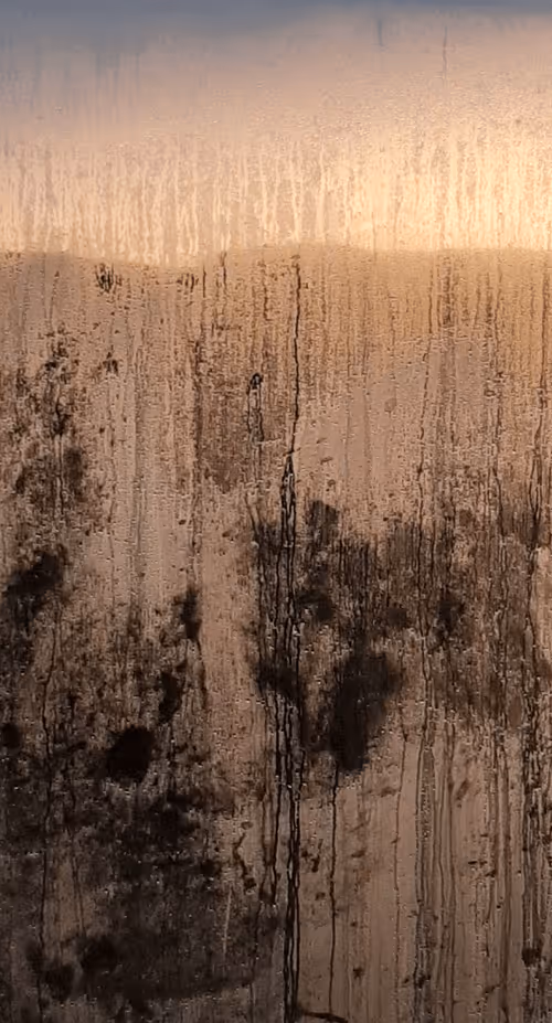 Item #108319801447916705209999714482794377307420393186493589738970213920472286887937 Media