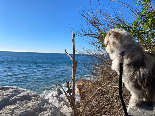 Item #88063557034118437660925886446302507819426649905583175627315428963007420432385 Media