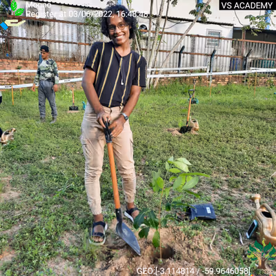 Item #8500196597889277390194123329501889087166328879864934763448348794029500006401 Media