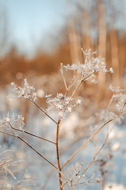 Item #89749655781633695214918973850275472722969414754438239918620403787534407041025 Media