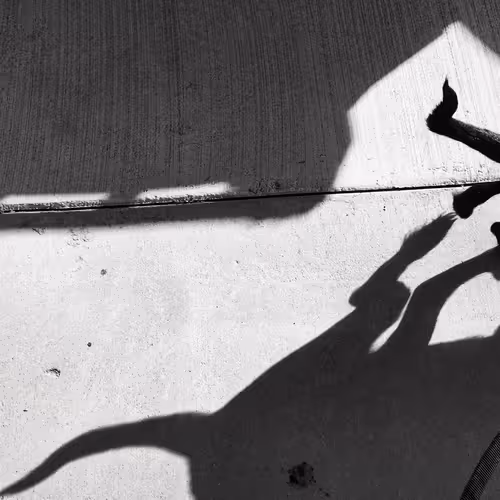 Item #56431751608181922231259635946092067407977788553703326303680802293158548340737 Media