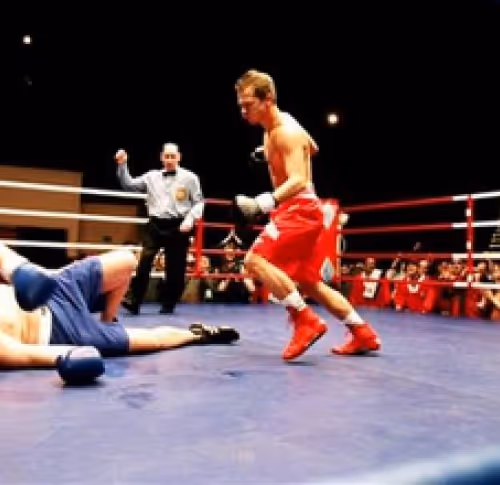 Untitled Collection #42771402