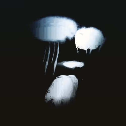 Nighterror IAvNlzQza1
