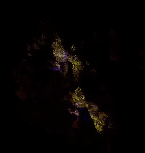 Item #9050991396078878530804497659870993705968162446836973774563467433341333012481 Media