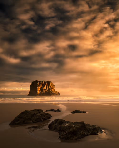 Item #33905874090819082513688943538230910820806372635716531311002980234427400978433 Media