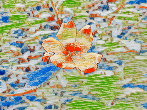 Item #69261177602478584146078213691104273677815526894191982293268527666027349147649 Media