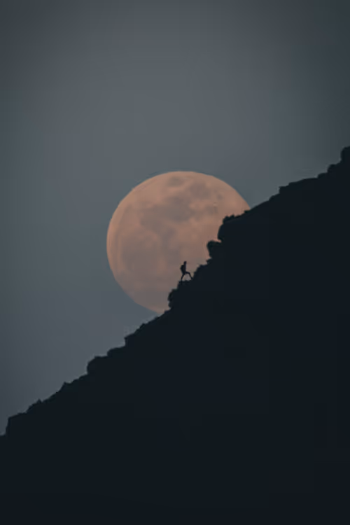 Item #78064220502355505726869985793984720926867023015257308531581829196685366001665 Media