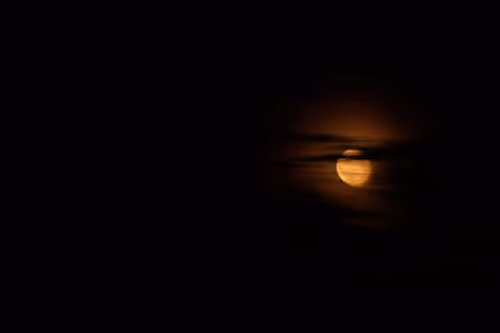 Item #26989150164140609200247036079790408866606814908493437460198890335084927254529 Media