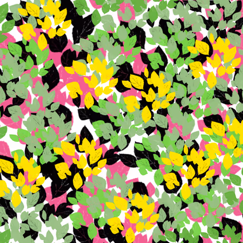 Untitled Collection #64011893