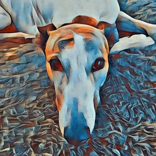 Item #113233535435930126246803406212525192330824104616936385021501681192416432881665 Media