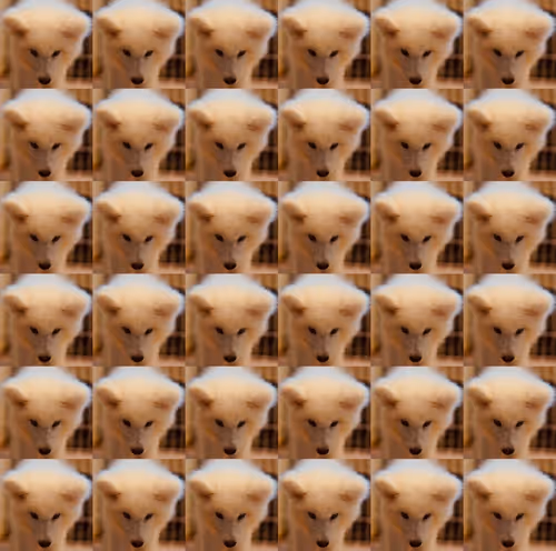 Item #919881104117818023937162122873745772427003128789095818032177427598421262337 Media