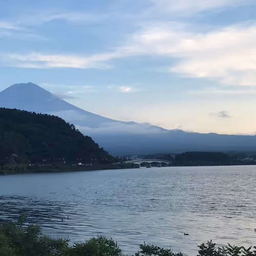 Untitled Collection #183946020