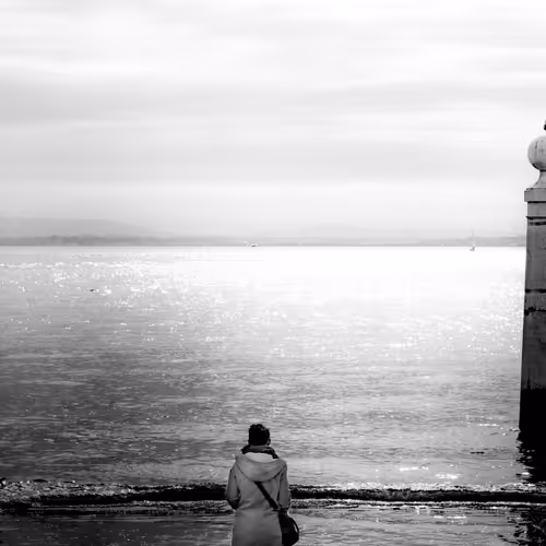 944955413634238325835746562904086500081877140248252026588839910243819323393