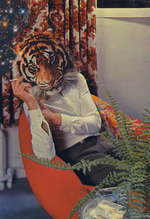 Item #101753459392207884073005542579533137391077031785380586069909448520009330458625 Media