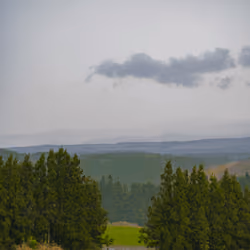 solitude of solitude
