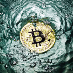 surfaced hodl