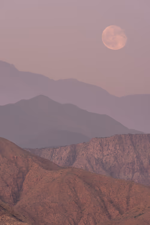 Item #39071023685345521589531013450918722216572370939070752972983331647624342142977 Media