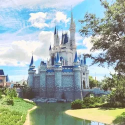 Cinderella Castle #8