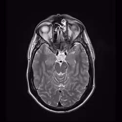 64162533542198579898252916190583583845604629893829087458582976230677133918209