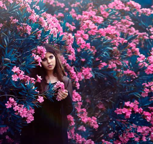 Item #3100420688180883117871293357647257873572712937557723132545680334274877718529 Media