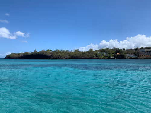 Item #82230664742410380029985225980173930657967222825059187272411913089652032012293 Media