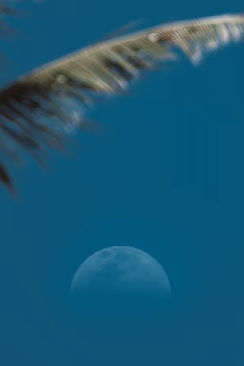 Item #78064220502355505726869985793984720926867023015257308531581829174695133446145 Media