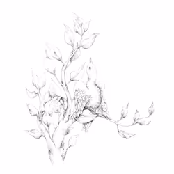 13934243290529806368964585825036521935178473085357694684673957277716453523457