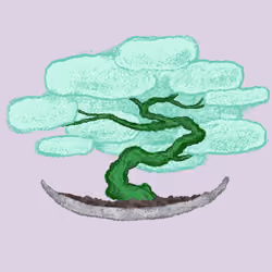 bloom 10