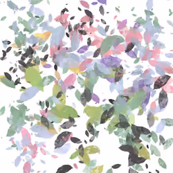 floral colours #5