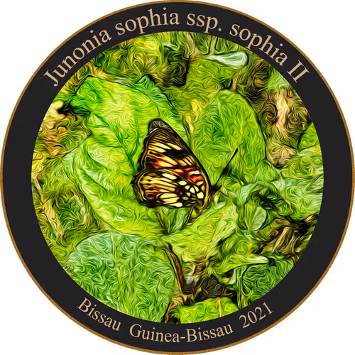 Item #83346383481971607988729477170446348570292642791419063456680174195681855012865 Media