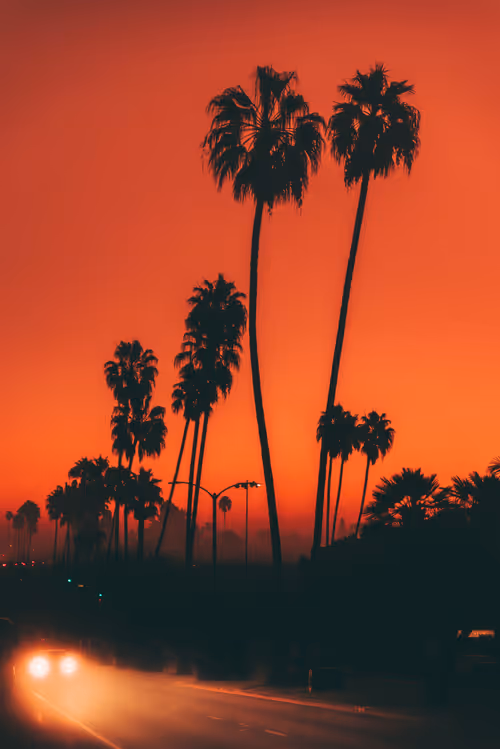 Item #91501497008151221125596935841676000512183505427004855270702190524676639293441 Media