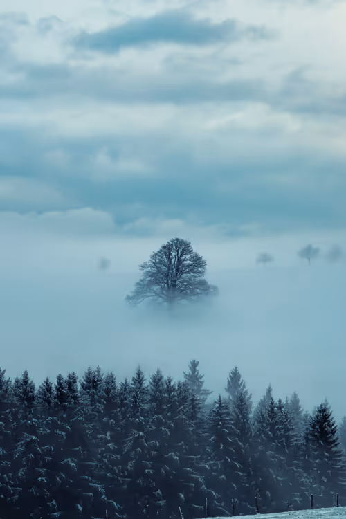 Item #54782985974607347148720532699414835129345073352407786523574901517628456566787 Media