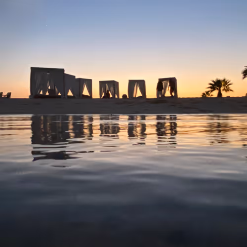 Untitled Collection #206760287