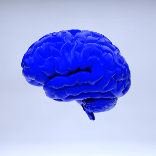 Item #77412820926303725204956055566925211190020908428863033075197849056593305403393 Media