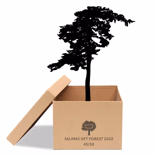 Item #63532776318757439562276927313719991273687356279339277108967620953034117349377 Media