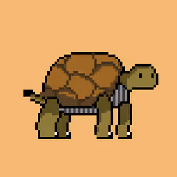Turtle #102