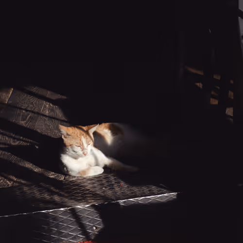 44719000099665773654266672940263648728753689185242925436087362571100305227777