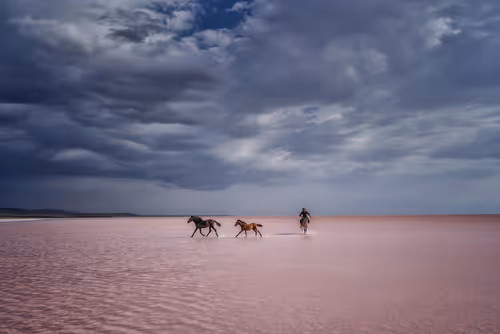 Item #103012301657456598627464593711191492996341926608798375780323323082332641951745 Media