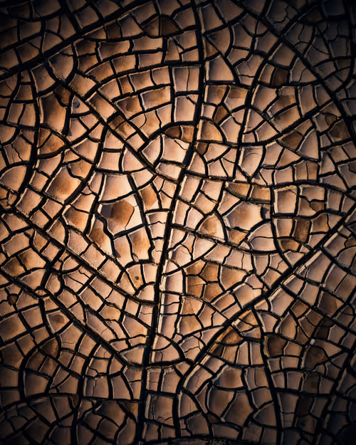 Item #48569969918486252391313193872888082509063999467385227964737452526659310714881 Media