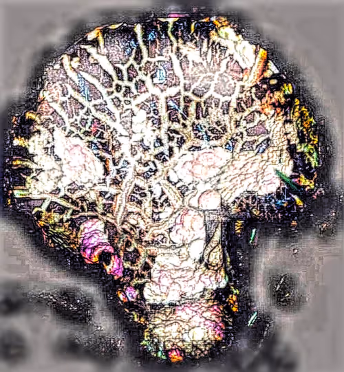 Item #80050559332347163335601971796963442430023304175303914027877321175850131914852 Media