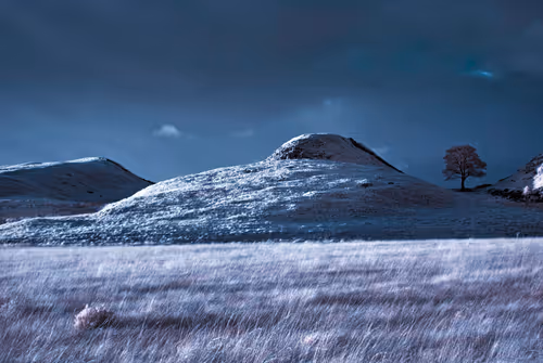 Item #105424874580272350249353180101820695324338341917620358577696675046520470372353 Media