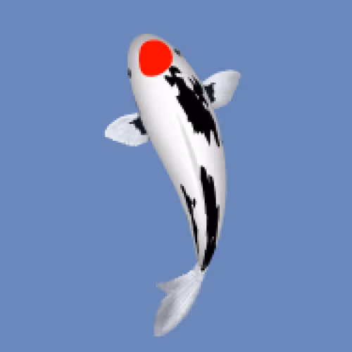 Item #85890538515849146191794191908996501016024634704301377485849141748284065316865 Media