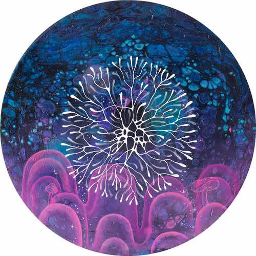 Item #38926800734791940233974628855528659418630180307846848684057164236878587625473 Media