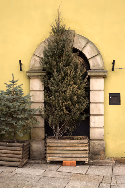 Item #77261116548373960202883784970939198987820603276791963726352965980218399391745 Media