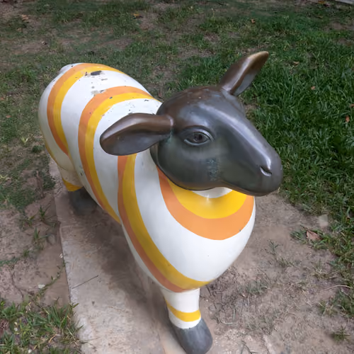 21 sheep